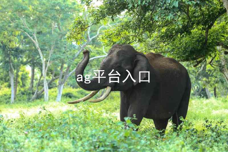 ag平台入口